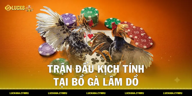 Trận đấu kịch tính tại Bồ gà lâm dồ với kèo cược đa dạng trên hệ thống Luck8